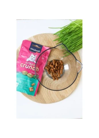 Хрустящие подушечки Crispy Crunch для кошек, мята, 60 г Vitakraft (336026433)