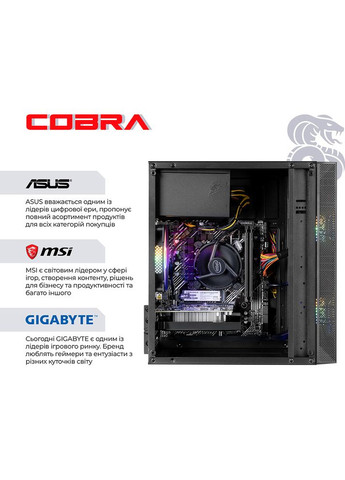 Комп'ютер Advanced (I121F.16.H2S4.96XT.25147) Cobra (357211235)