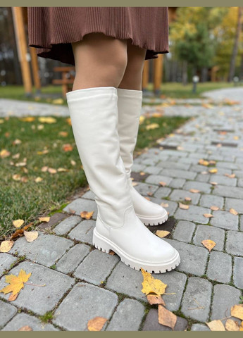 Зимние женские сапоги трубы кожаные еврозима (1410) No Brand