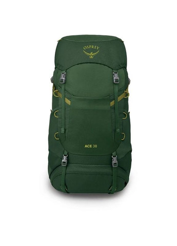 Туристический рюкзак Ace 38 green canopy (009.3888) Osprey (369673120)