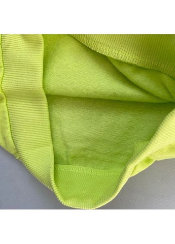 Lupilu свитшот толстовка с динозавром с флисовым напылением динозавр зеленый праздничный, карнавальный, спортивный, повседневный, деним, домашний, кэжуал хлопок, полиэстер