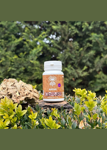 Майтаке, экстракт 10:1, капсулы 60 шт по 0.5 г Лісовик (334292849)