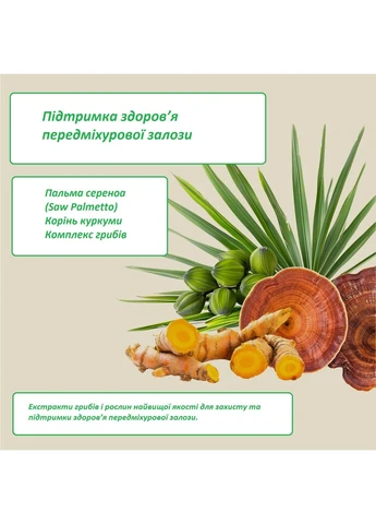 Вітамінний комплекс для підтримки простати 90 капсул Snap (388878368)