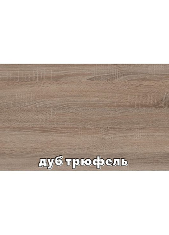 Шафа-купе дводверна 200*60*210 см Трюфель 2 двері ДСП Максі Комфорт Меблі (360433892)