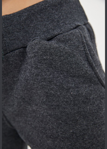 Жіночі теплі штани на флісі (hb95456) HiBrand (347767377)