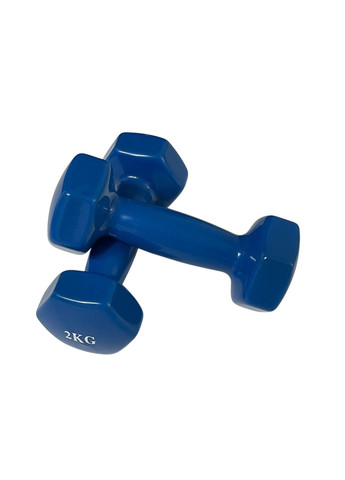 Гантели для фитнеса пара 2 кг синие (гантель) No Brand (356116916)