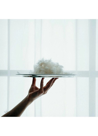 Одеяло пуховое Carmela 032 деми 172x205 см (2200000003928) Mirson (314715427)