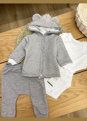 Серый демисезонный комплект одежды для младенцев Баранчик БО
