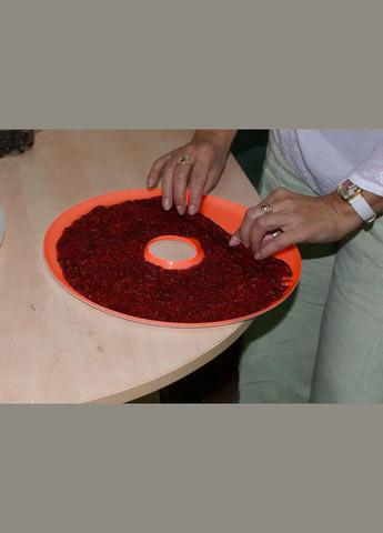 Лоток плотный поддон оранжевый для пастилы Беломо Ветерок Ротор Чудесница Ø 30 см 550 мл Profit M (297913718)