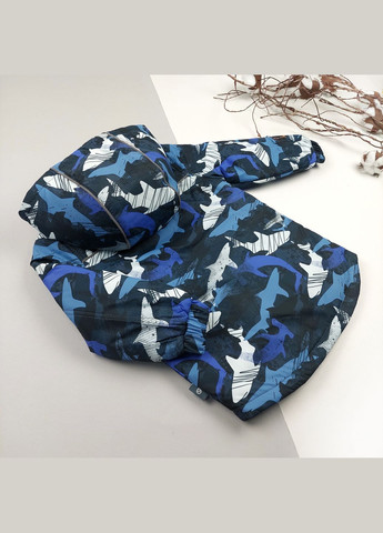 Синій демісезонний комплект Marakas