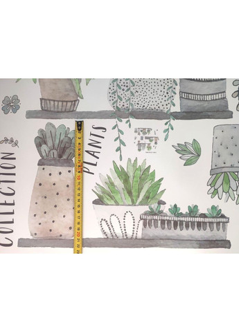 Вінілові наклейки Вазони (лист 50 х 70 см) Б179-21 No Brand (361893972)