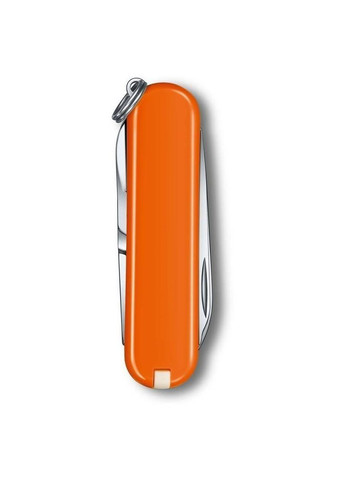 Складной нож Classic 5,8 см 0.6223.83G Victorinox (317305606)