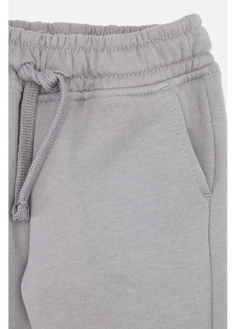 Серые зимние брюки Yuki