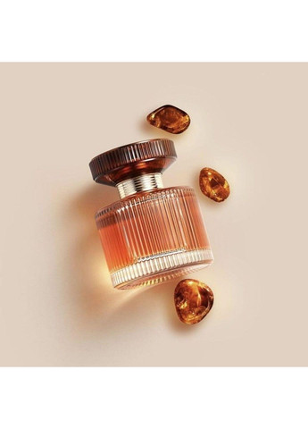 Парфумована вода Amber Elixir Ембе Іліксe 50 мл деревний пудровий східний насичений аромат Oriflame (369931866)