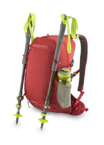 Рюкзак Ride 19, Black (PNG 327199) 2020 Pinguin (334672051)