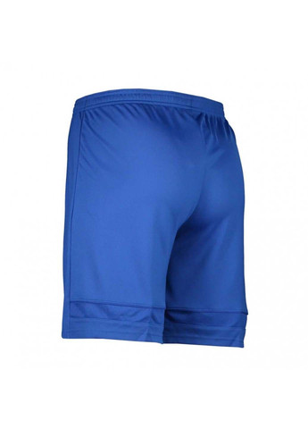 Шорты мужские Nike (330126203)