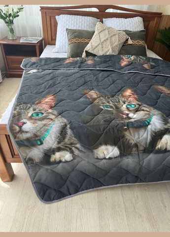 Ковдра гіпоалергенна бавовна літня 215х145 (П4К-lito-kovdra-001/8) No Brand (306633390)