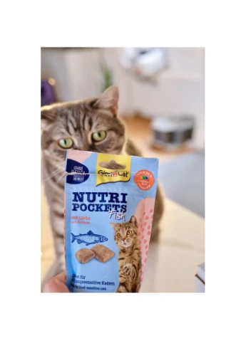 Лакомства Nutri Pockets для кошек Рыбные Лосось 60г GimCat (376876438)