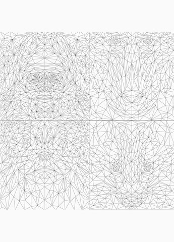 Трианімалз. Розмалюй нас. Дикі тварини Жорж (273238693)