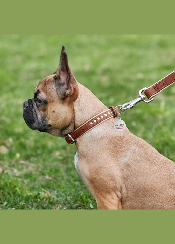 Ошейник для собак кожаный Soft с QR паспортом, металлические украшения, Ш 20 мм, Длин 30-39 см коричневый WAUDOG (322002330)