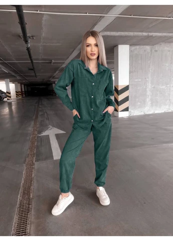 Жіночий прогулянковий костюм з мікровельвету Fashion (382028534)
