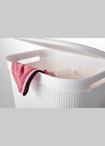 Корзина для белья пластиковая Brisen 50 л (10235) Капучино. Rotho (334008272)