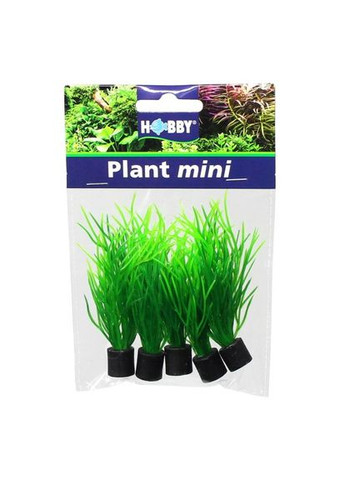 Штучна рослина Lilaeopsis mini 1,5x1,5x7 см, 5 шт Hobby (322711561)