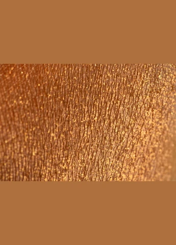 Тіні color exstasy ES006 - Насичений рудий колір з золотими блискітками, 4г PROVG (302227916)