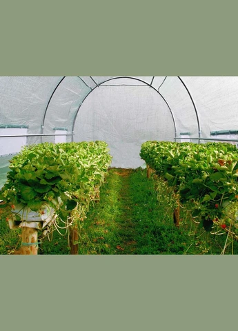 Парник, теплица (400 x 250см) 10 m² Польша Kontrast (315426196)