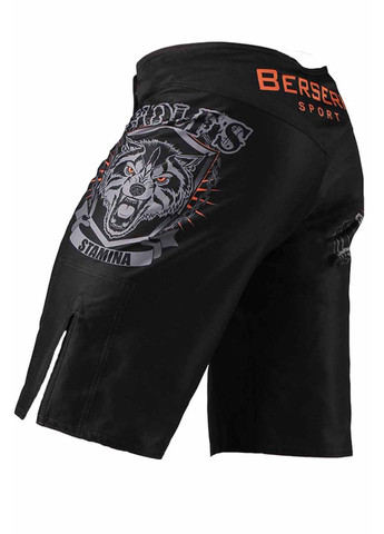 Шорти Berserk Sport (357226908)