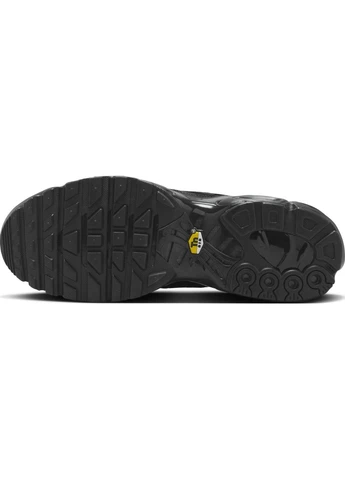 Черные кроссовки черные aj2029-001 Nike AIR MAX PLUS