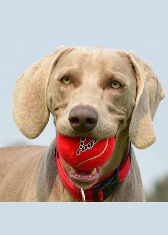 Іграшка для собак Molecule Ball Тенісний м'яч червоний 5 см 09334 ROGZ (269341798)