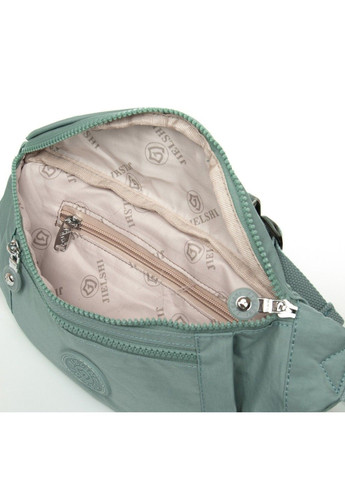 Женская сумка на пояс C25 b.blue Jielshi (341248572)