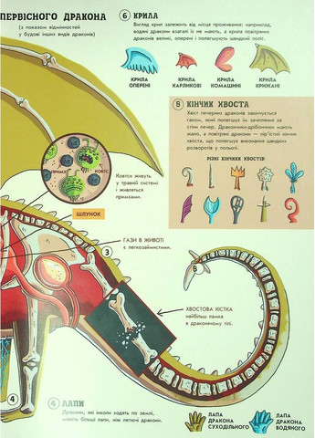 Факти та перекази: Факти та перекази про драконів РАНОК (370052725)
