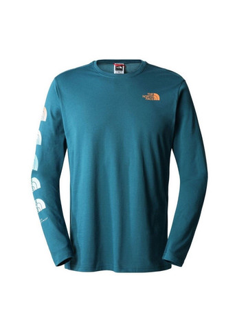 Реглан M D2 GRAPHIC L/S NF0A83FPEFS1 The North Face (285794551)