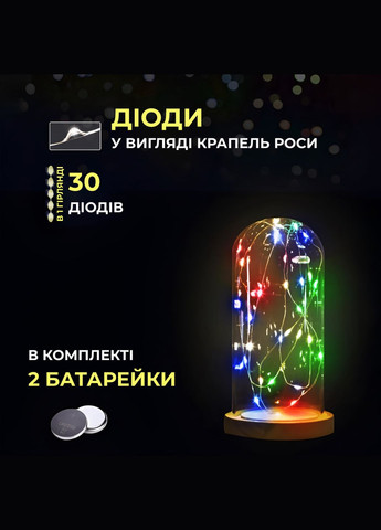Гірлянда Роса нитка 30 LED 3 м на батарейках, мультиколор GarlandoPro (316475329)