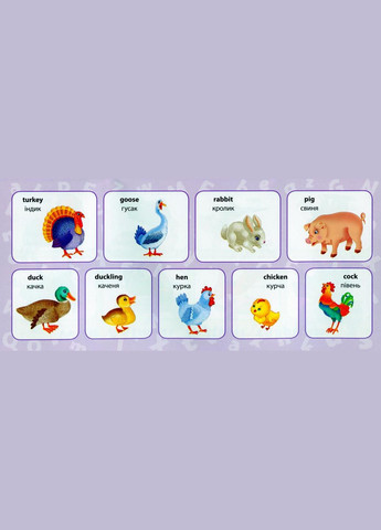 Навчальні міні-плакати. Англійська мова. 4 клас УЛА (316125426)