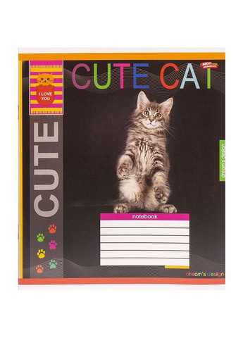 Тетрадь 12_л. клетка "МЕЧТЫ" / Серый котик Мрії Збуваються (342415622)