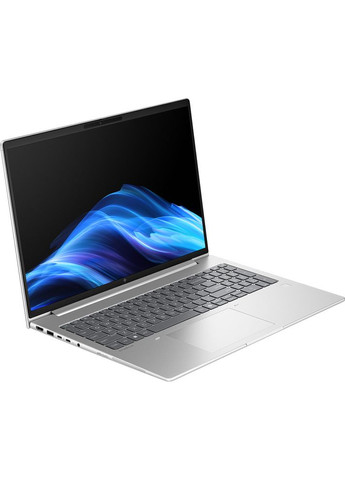 Ноутбук EliteBook 6 G1a Pike Silver (AZ8Z5AV_V9) HP (372608711)