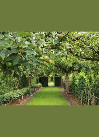 Прилипач Липосам 8 мл БТУ-Центр (299329950)