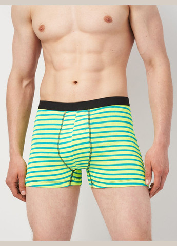 Труси (3шт) Basic Collection (295079707)