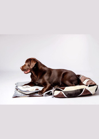 Лежак для животных 6-25 кг No Brand (341303217)