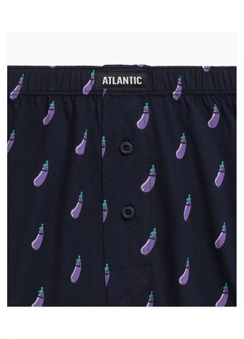 Боксеры мужские 2MBH-002 (2 шт) Atlantic (373273990)