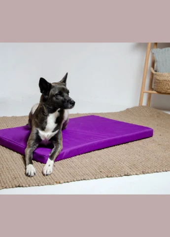 Матрац Харлей для собак №4 60 x 90 x 5 см Фіолетовий (4820224213026) Lucky Pet (279564956)
