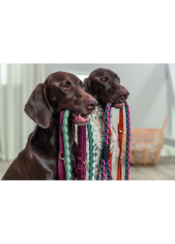 Повідок Premium для собак регульований двошаровий L–XL 2 м 25 мм бордовий Trixie (372505064)