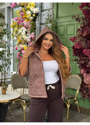 Жилетка жіноча стьобана з капюшоном і кишенею-кенгуру (Заміри в описі) DK/DL Мода без кордонів (366725459)