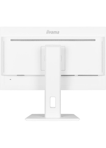 Монитор XUB2497HSN-W2 Iiyama (360796936)