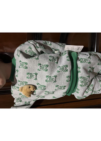 Сіро-зелений демісезонний спортивний для хлопчика з ведмедиками та знімною іграшкою 🧸 брючний No Brand костюм