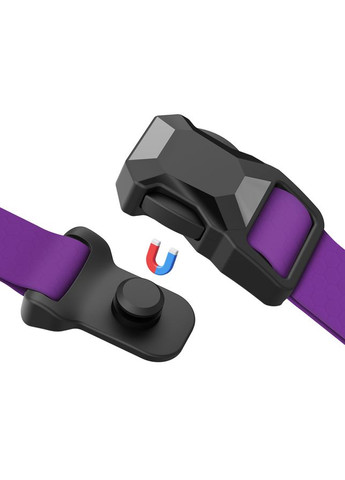 Нашийник WAUDOG (333706199)