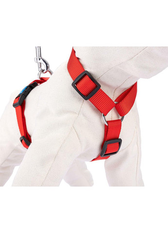 Шлея-нагрудник для собак, нейлон, A-40-68см, B-57-91см, С-15-23см, ширина ремінця: 2 см, L, Червоний Happet (353303401)